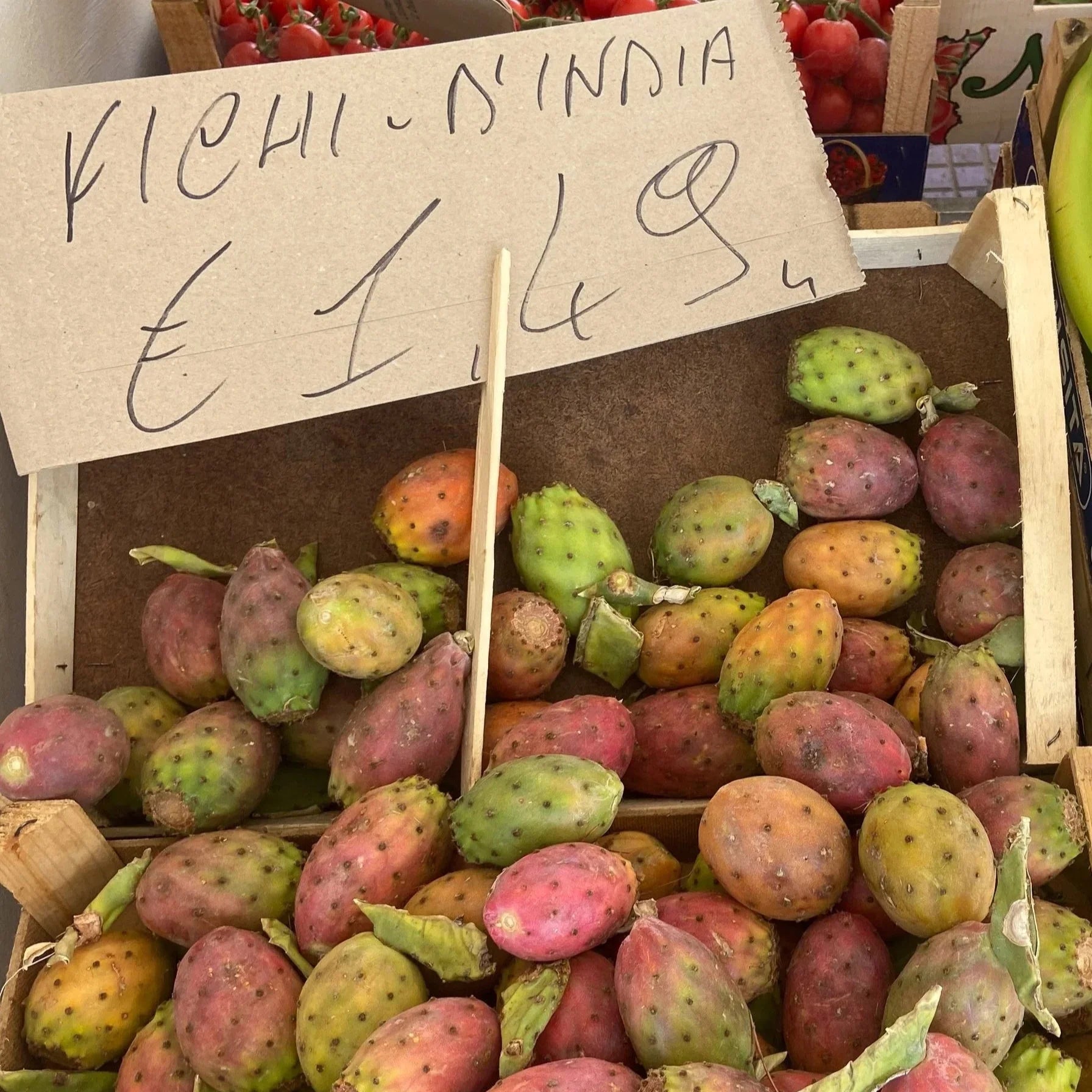 Ingredient Spotlight: Prickly Pear Seed Oil